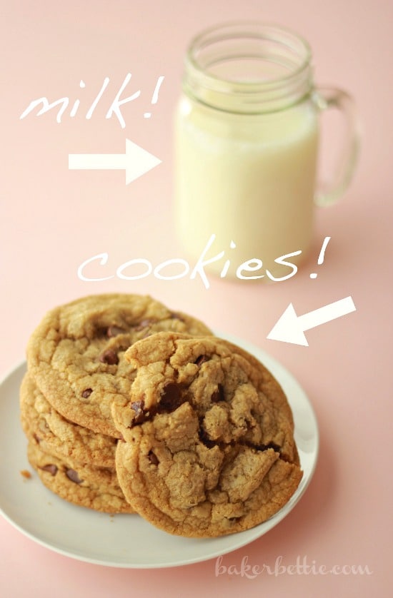 Chocolate Chip Cookie Science- Baker Bettie