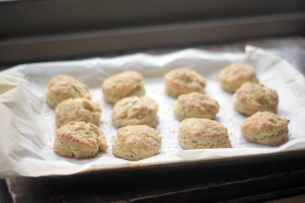 freeze-and-bake-biscuits-black-pepper-and-sage-baker-bettie