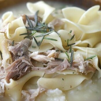 Turkey & Noodles over Mashed Potatoes in a Bowl