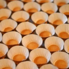 Mini vanilla wafers placed into mini baking cups
