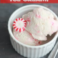 Peppermint Ice Cream (vegan) in a dish