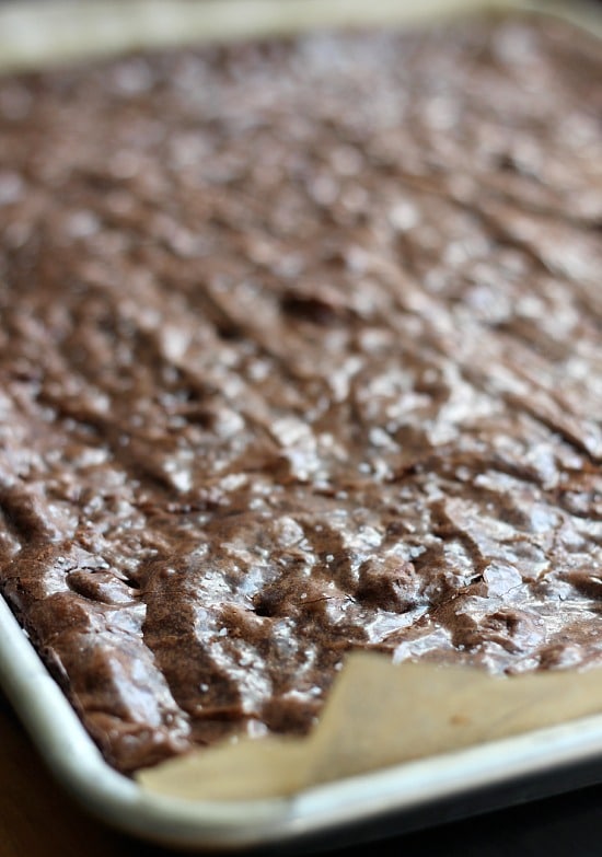 Closeup of brownies after being baked in a sheet pan