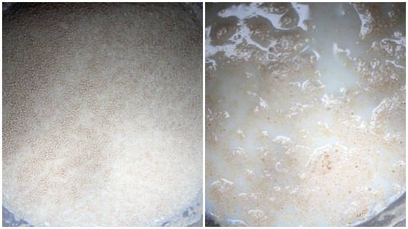 Yeast being hydrated for the master sweet dough recipe