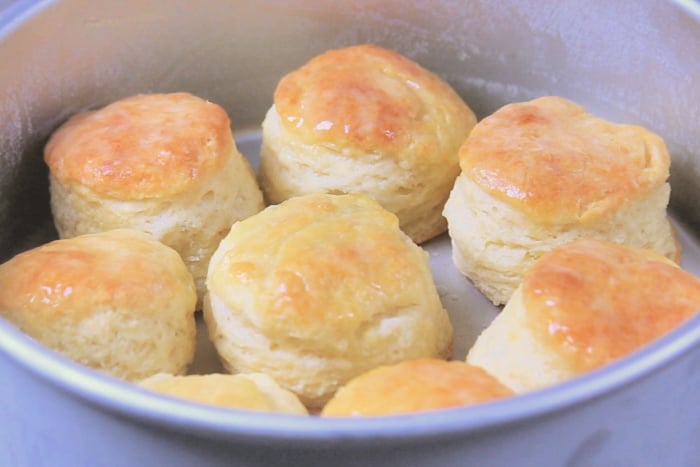 Biscuit pan