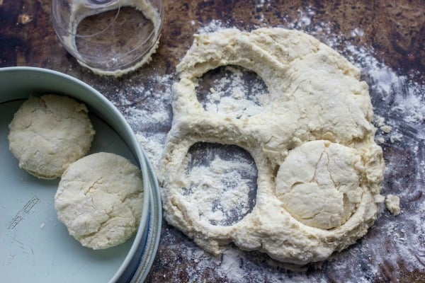 How to Make Lard Biscuits | Baker Betttie biscuit rounds being cut from dough and placed in cake pan