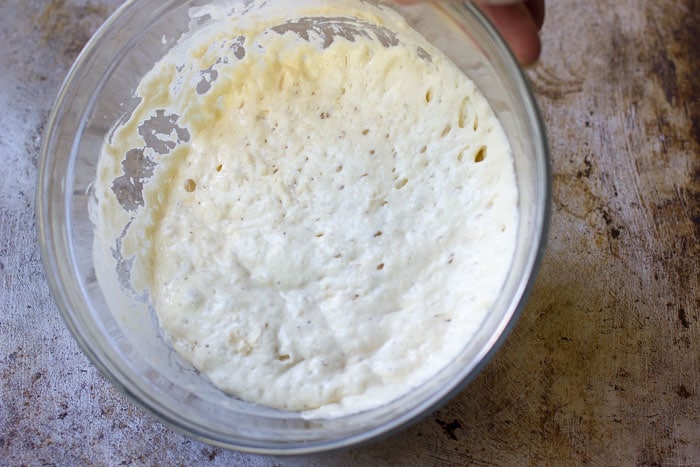 Poolish after fermintation 