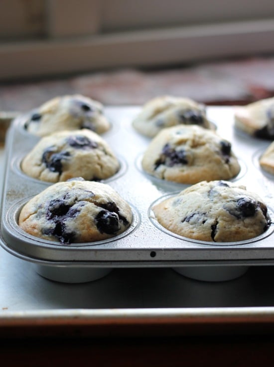 Close-up blueberry muffins in muffin tin