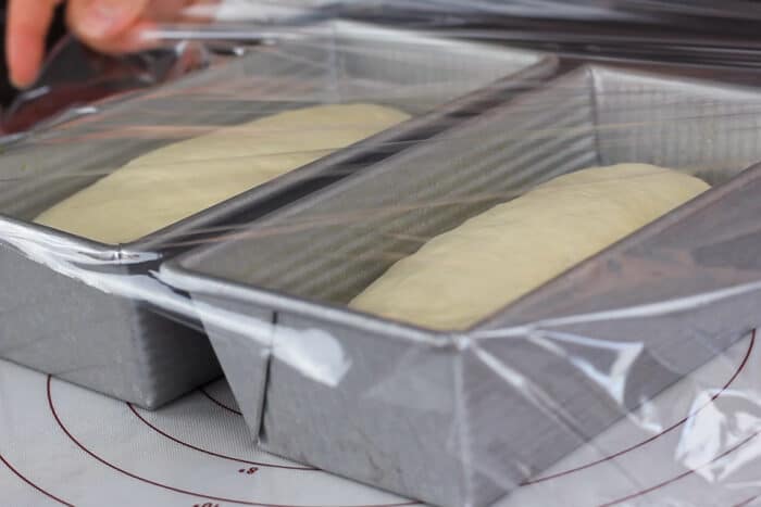 Shaped sandwich loaves ready to proof