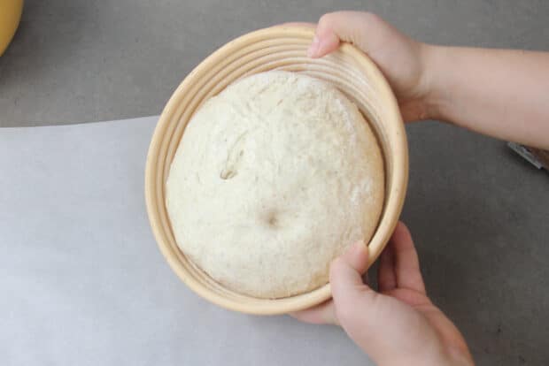 Dumping no-knead sourdough out of banneton after proofed