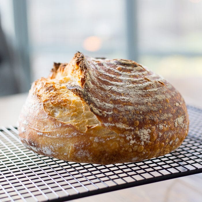 Basket Prep and Care Baker Bettie