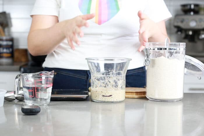 Showing sourdough starter on day 3, there are some bubbles