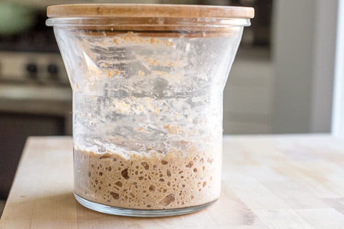 Sourdough starter on day 4 with larger bubbles