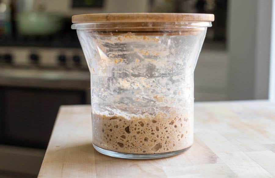 Troubleshooting Sourdough Starter - Baker Bettie