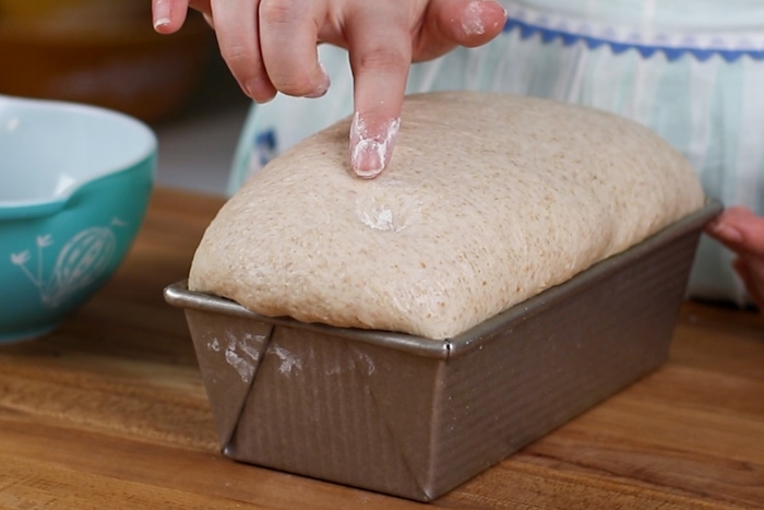 Checking how proofed the loaf is by using the dent test