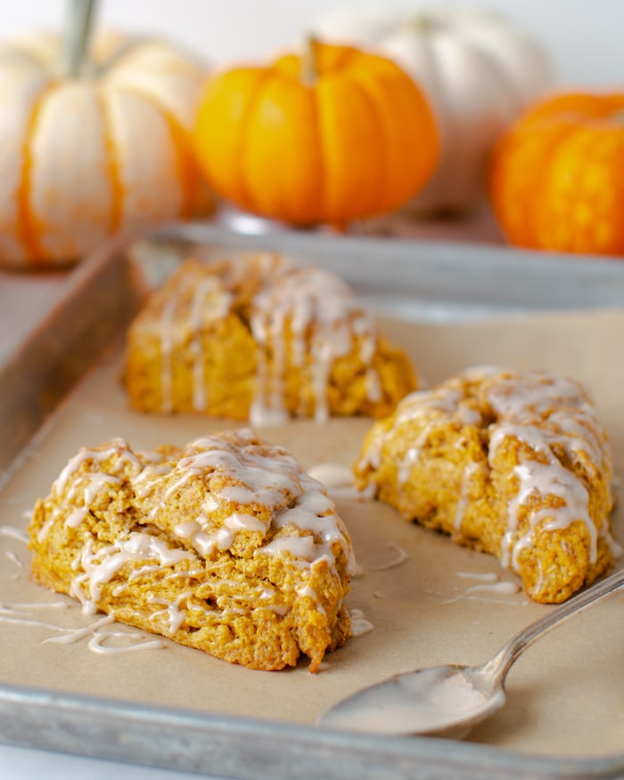 sheet pan with pumpkin scones with cinnamon glaze drizzled on top and pumpkins in the background