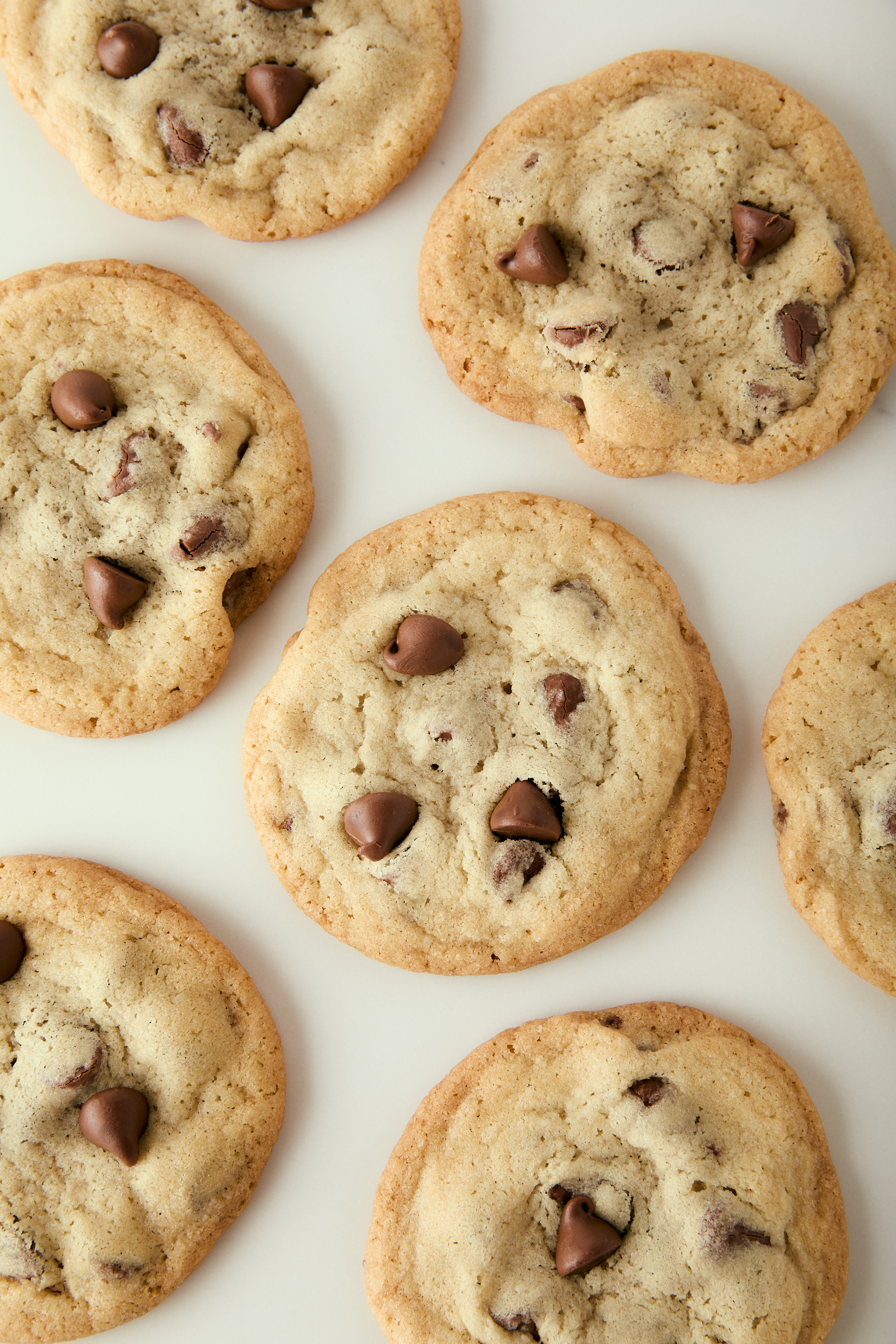 thin and crispy cookies spread on a counter