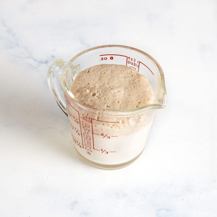 Yeast, warm milk, and a pinch of sugar in a bowl to "proof"