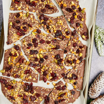 Dark chocolate bark with dried cranberries, sunflower seeds, and nuts broken up into chunks